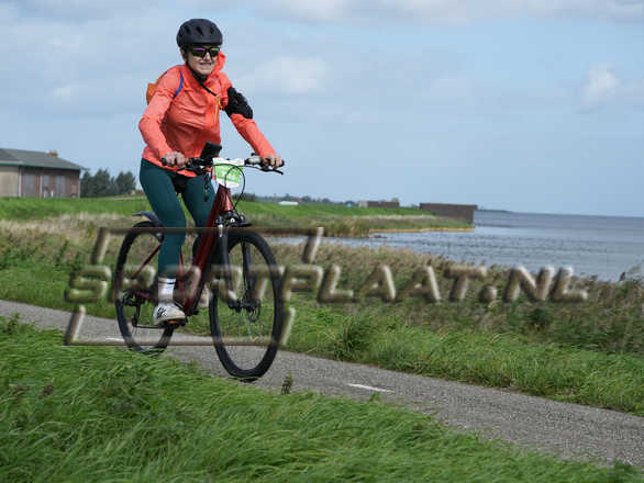 D6246.jpg
